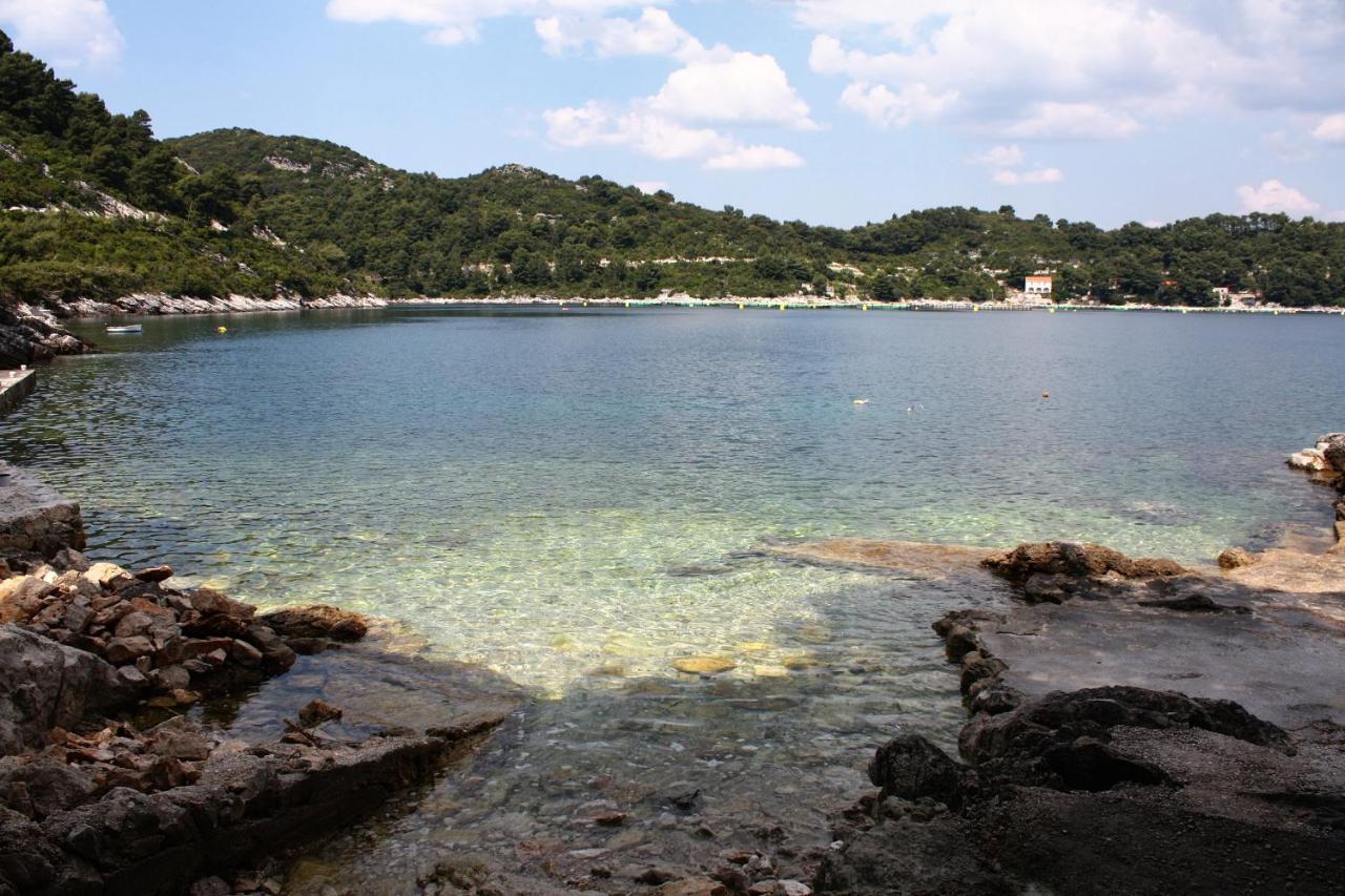 Apartments By The Sea Sobra, Mljet - 4908 Babino Polje Extérieur photo